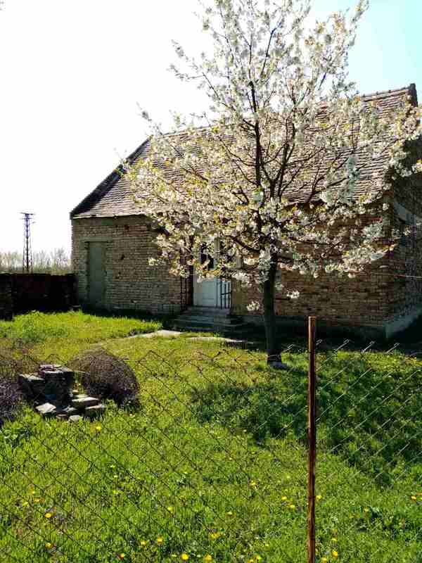 m2Gsigma nekretnine, Sečanj okolina, Jarkovac, dvoiposobna kuća na prodaju, 1134