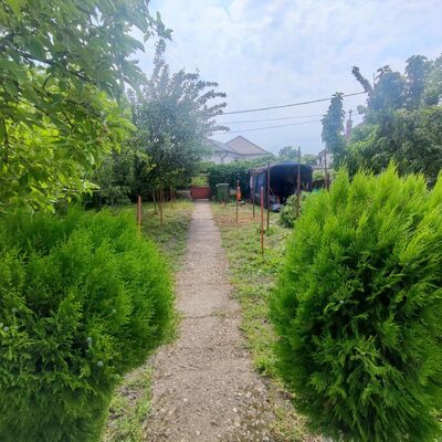 kuća, na prodaju, Zrenjanin, Zeleno polje