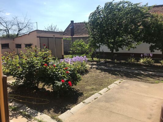 kuća, na prodaju, Zrenjanin, Mužlja
