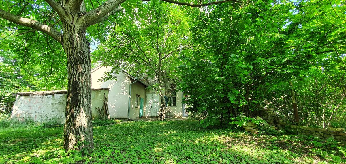 m2Gsigma nekretnine, Zrenjanin, Širi centar, četvoroiposobna kuća na prodaju, 1408