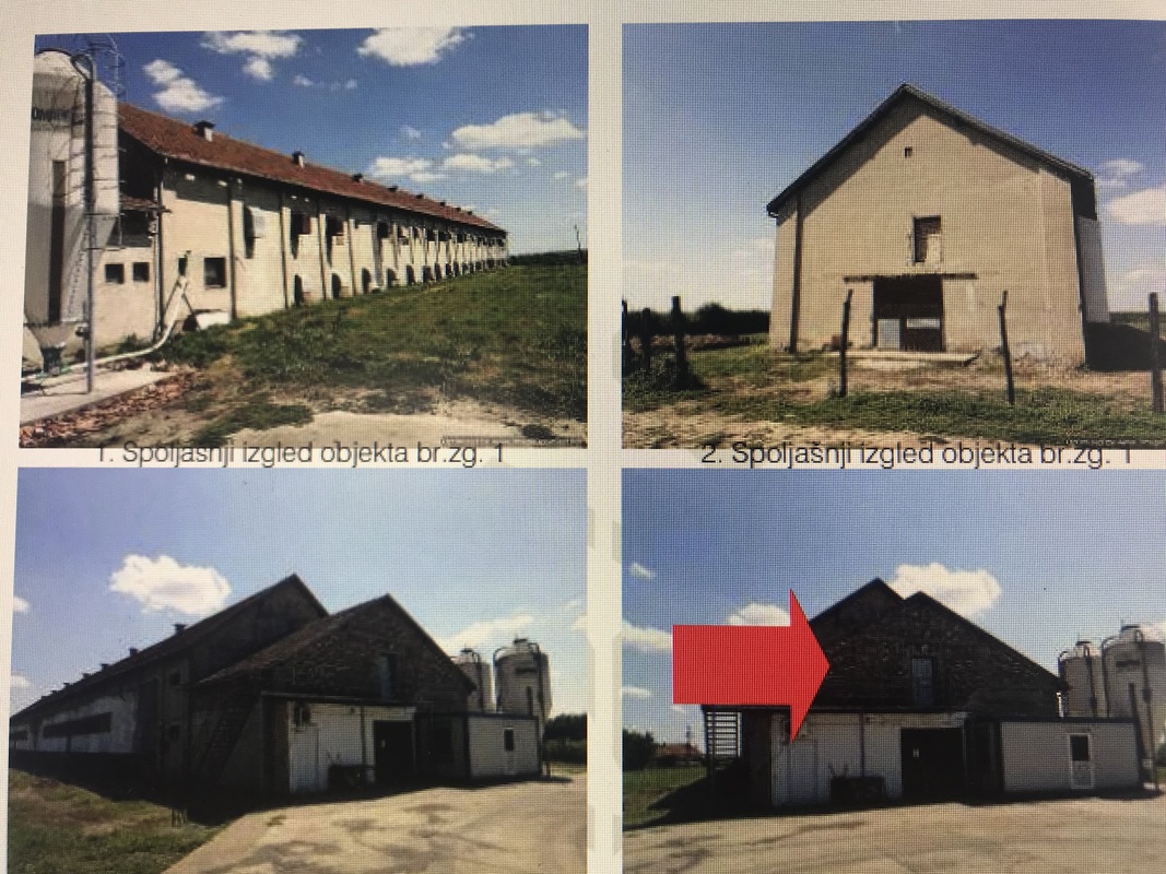m2Gsigma nekretnine, Zrenjanin okolina, Melenci zemljište na prodaju, 1469