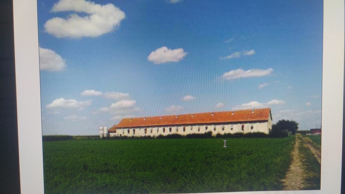 m2Gsigma nekretnine, Zrenjanin okolina, Melenci zemljište na prodaju, 1469