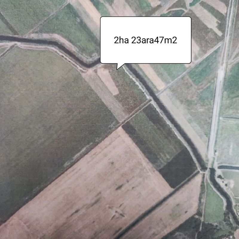 m2Gsigma nekretnine, Zrenjanin okolina, Belo Blato zemljište na prodaju, 1472