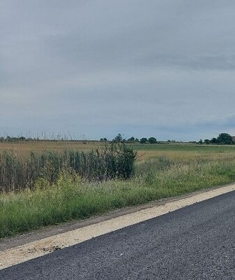 zemljište, na prodaju, Zrenjanin, Aradac