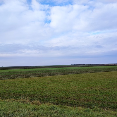 zemljište, na prodaju, Zrenjanin, Aradac