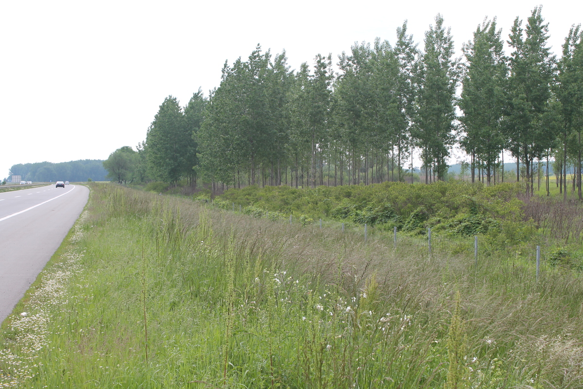 m2Gsigma nekretnine, Novi Sad, Industrijska zona sever zemljište na prodaju, 162