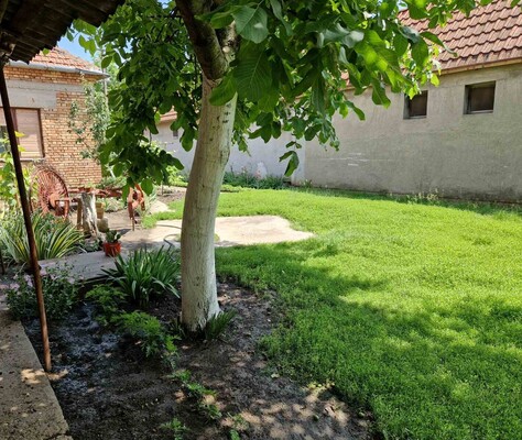 kuća, na prodaju, Zrenjanin, Bagljaš