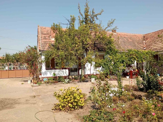 kuća, na prodaju, Zrenjanin, Botoš