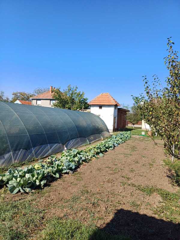 m2Gsigma nekretnine, Zrenjanin okolina, Čenta, trosobna kuća na prodaju, 2251