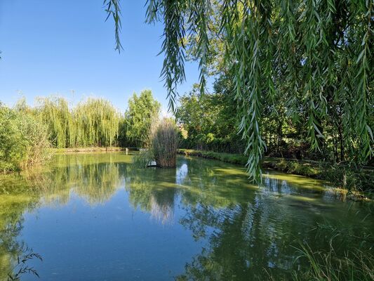 kuća, na prodaju, Zrenjanin, Centar