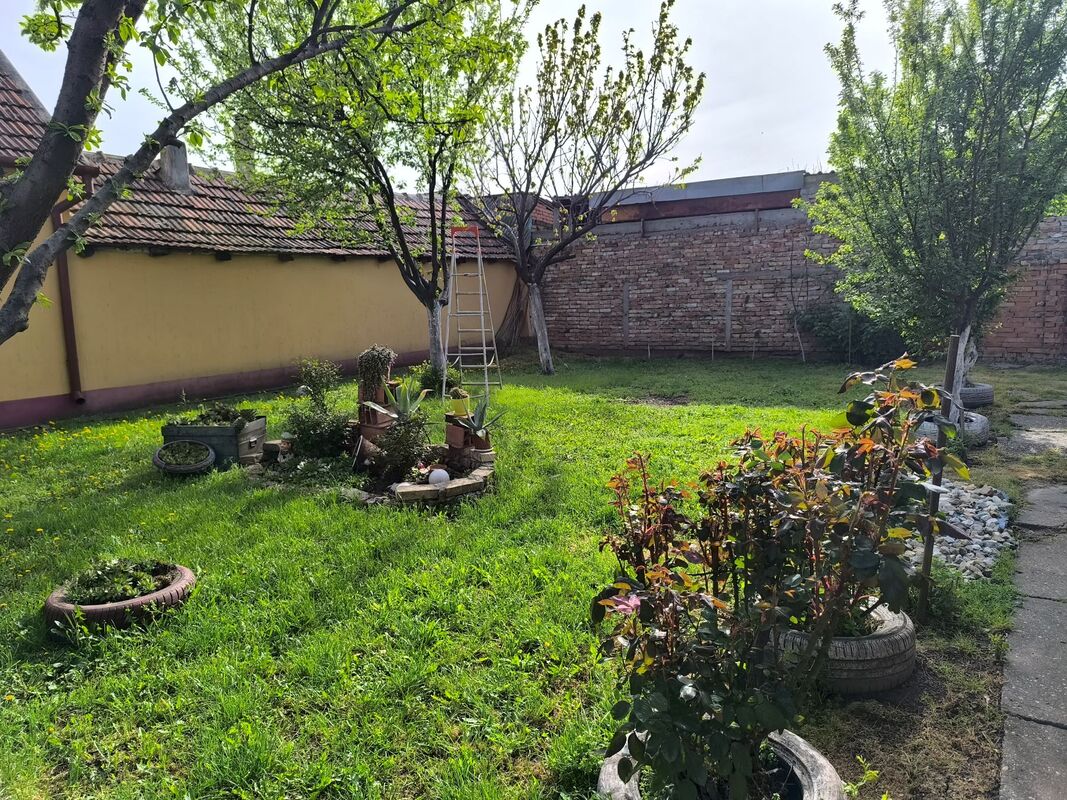 m2Gsigma nekretnine, Zrenjanin, Bagljaš, petosobna kuća na prodaju, 2317