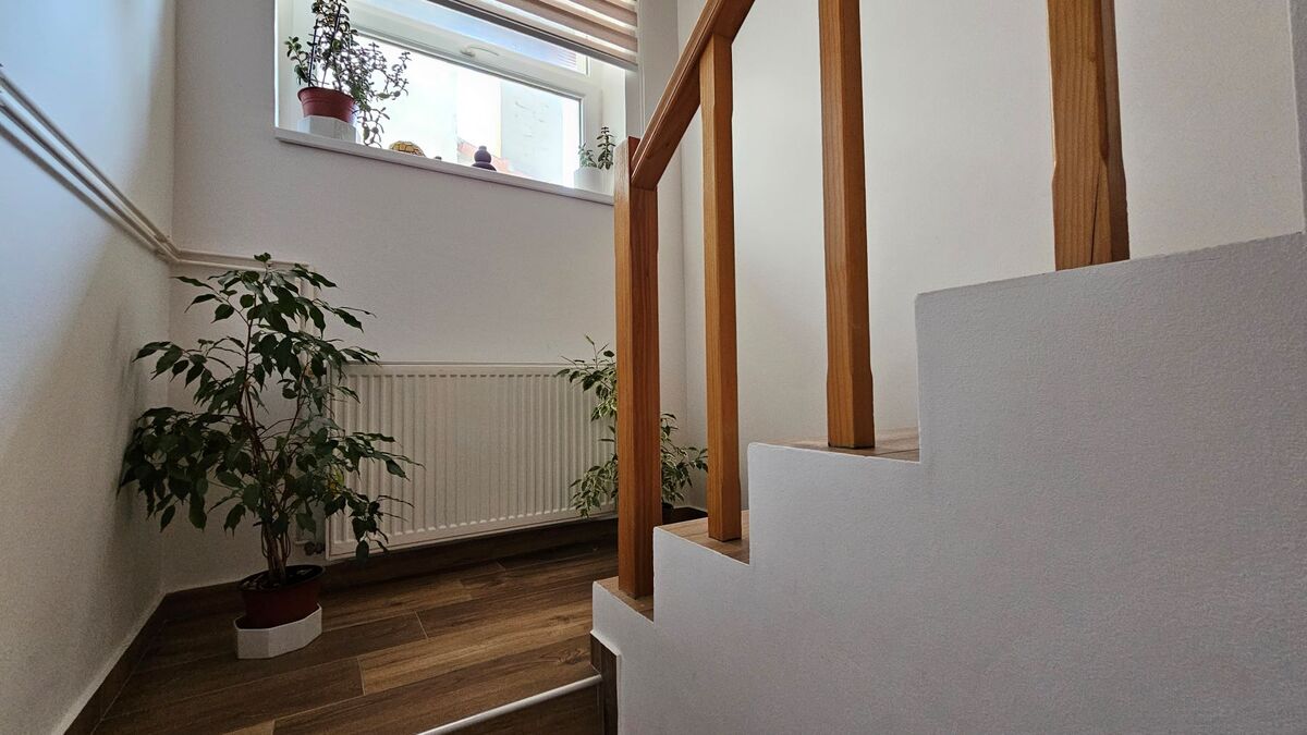 m2Gsigma nekretnine, Zrenjanin, Lesnina, petosobna kuća na prodaju, 2358