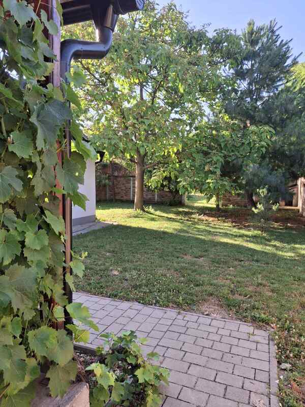 m2Gsigma nekretnine, Zrenjanin, Lesnina, petosobna kuća na prodaju, 2358