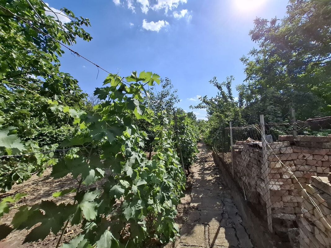 m2Gsigma nekretnine, Zrenjanin, Mužlja, petosobna kuća na prodaju, 2375