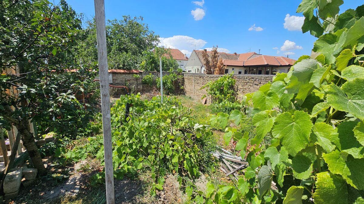m2Gsigma nekretnine, Zrenjanin, Duvanika, četvorosobna kuća na prodaju, 2389