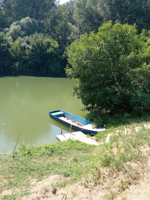 m2Gsigma nekretnine, Sečanj okolina, Šurjan, četvorosobna kuća na prodaju, 2410