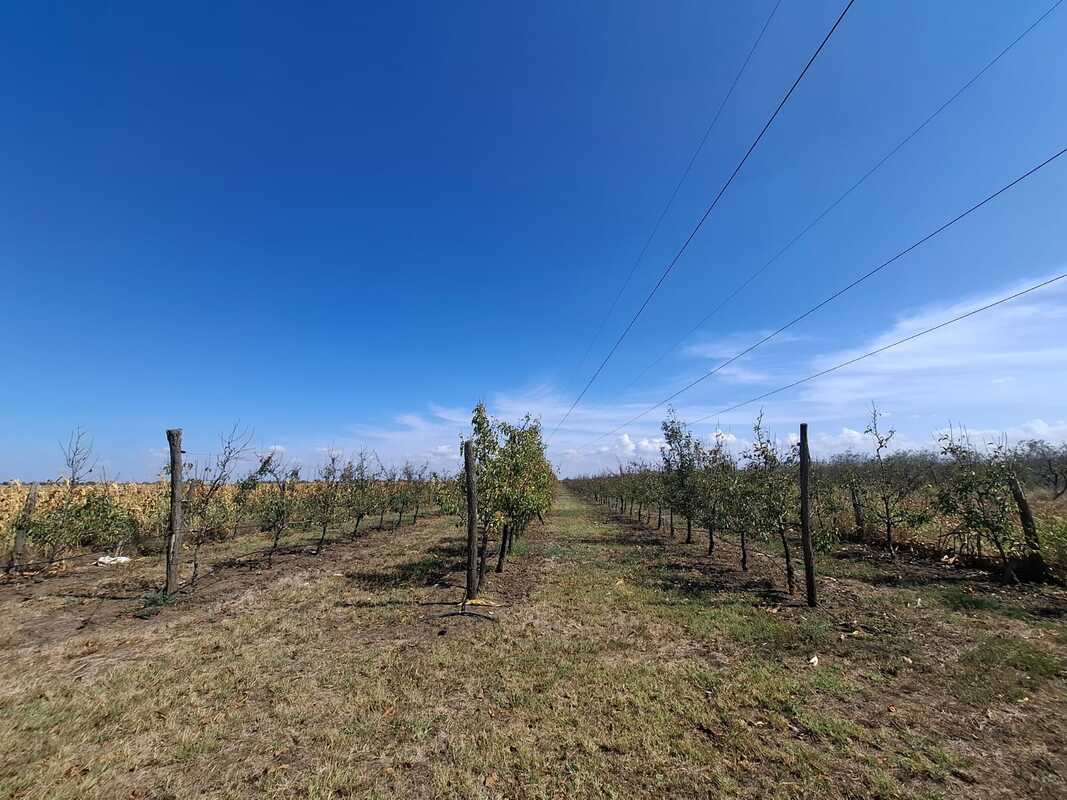 m2Gsigma nekretnine, Zrenjanin, Duvanika zemljište na prodaju, 2442