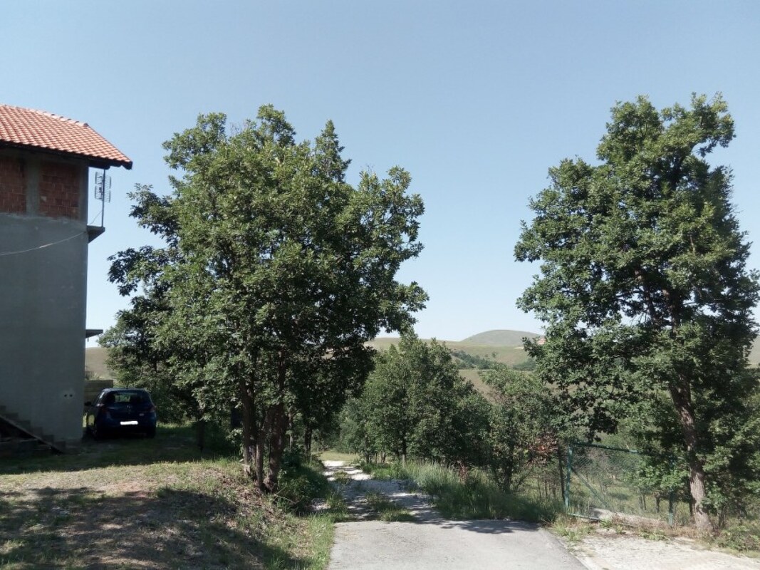 m2Gsigma nekretnine, Čajetina okolina, Čajetina, više od šest soba kuća na prodaju, 2491