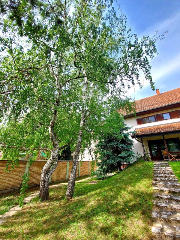 m2Gsigma nekretnine, Zrenjanin, Širi centar, petosobna kuća na prodaju, 897