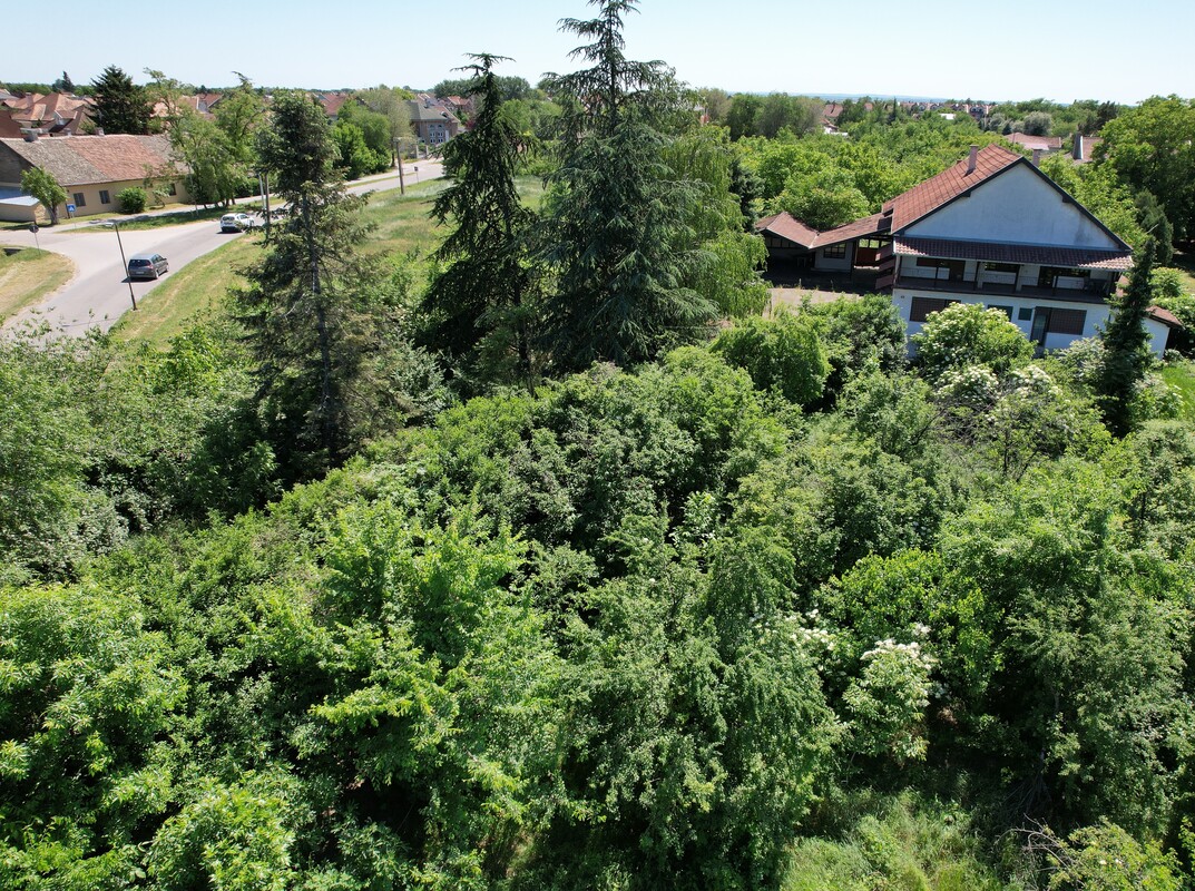 m2Gsigma nekretnine, Zrenjanin, Berbersko, više od šest soba kuća na prodaju, 973