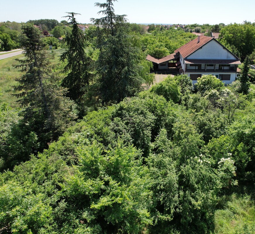 m2Gsigma nekretnine, Zrenjanin, Berbersko, više od šest soba kuća na prodaju, 973