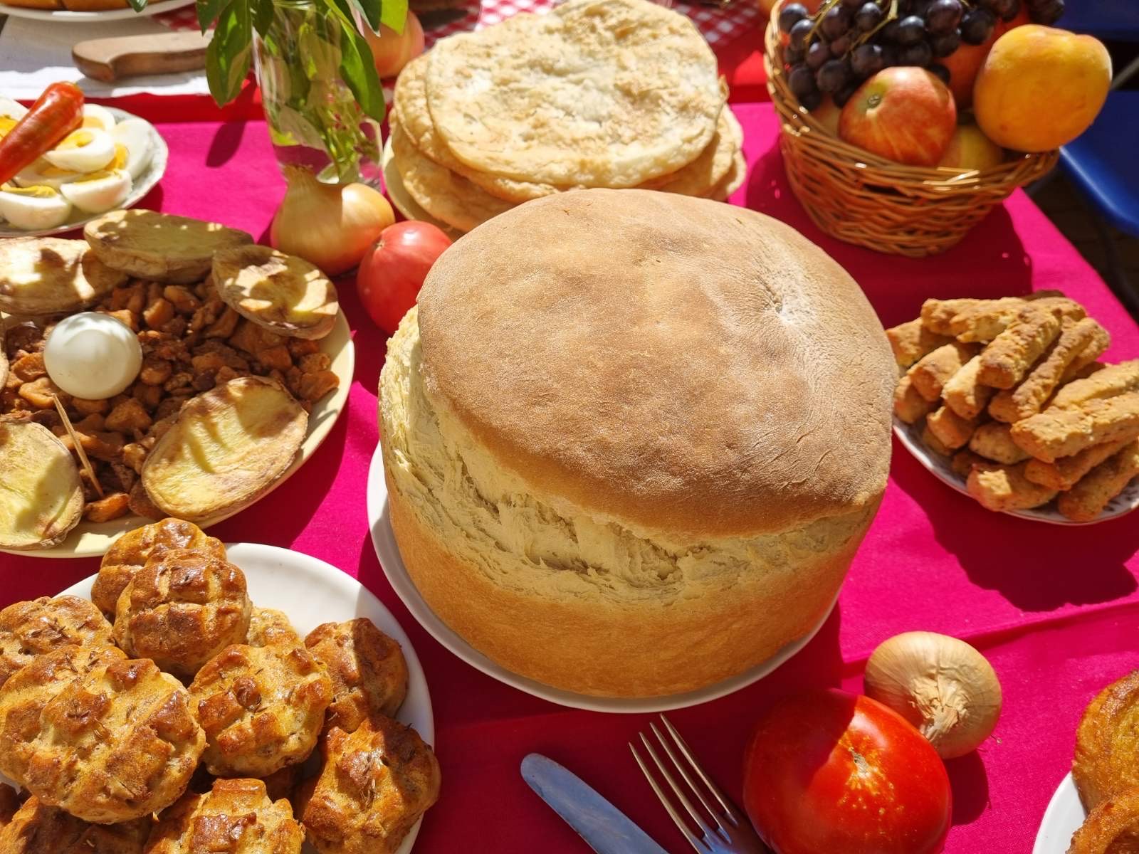 Zrenjanin nekretnine, Cipovka, hlebovo dete